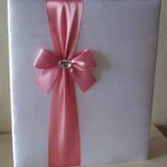 Папка эмилия M46485