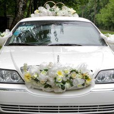 Комплект с драпировкой M46486