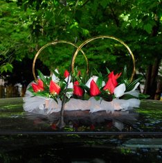 Кольца на машину Д50479