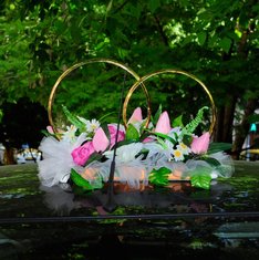 Кольца на машину Д50480