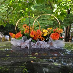 Кольца на машину Д50481