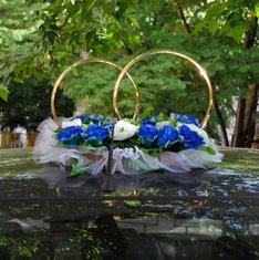 Кольца на машину Д50482