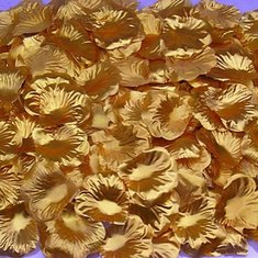 Розовые лепестки Y95406