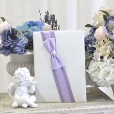 Папка для свидетельства Б95575