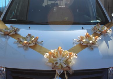 Лента на машину В20726 - Салон свадебных аксессуаров Все для свадьбы