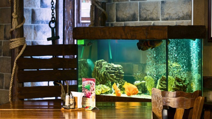 Загородный отель Tropicana